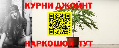 сатива Пугачёв
