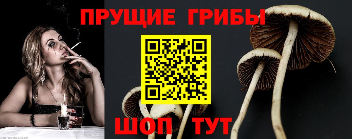 Галлюциногенные грибы MAGIC MUSHROOMS Спасск-Дальний